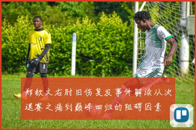 郑钦文右肘旧伤复发事件解读从次退赛之痛到巅峰回归的阻碍因素